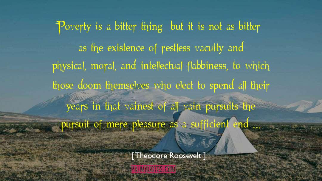 Vacuity quotes by Theodore Roosevelt