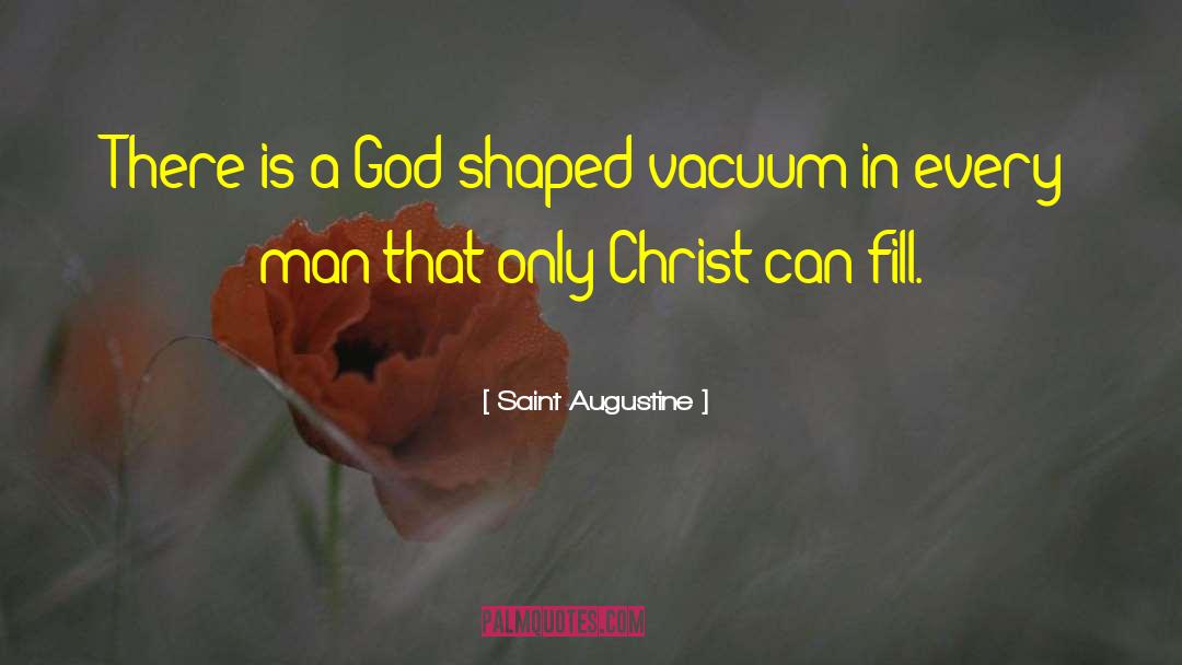 Vacuums quotes by Saint Augustine