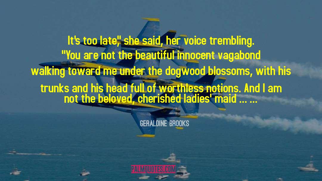 Vagabond quotes by Geraldine Brooks