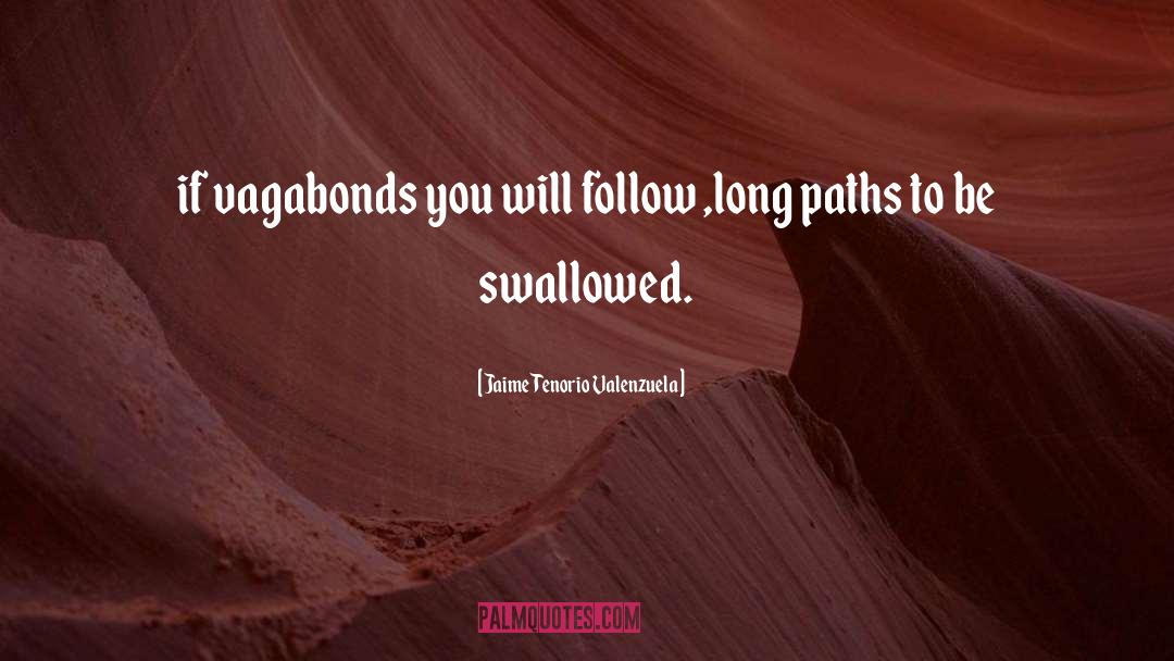 Vagabonds quotes by Jaime Tenorio Valenzuela