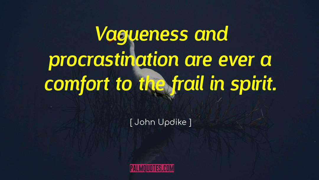 Vagueness quotes by John Updike