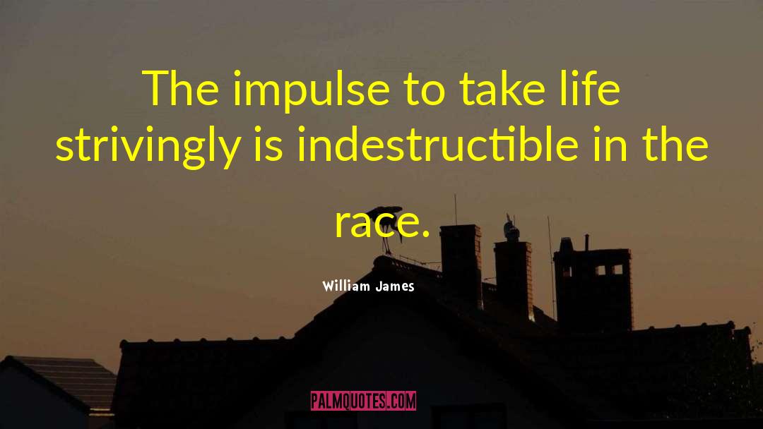 Vagueness quotes by William James