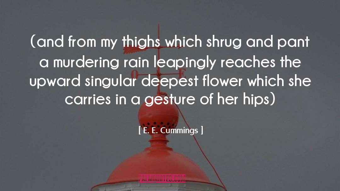 Valana Cummings quotes by E. E. Cummings