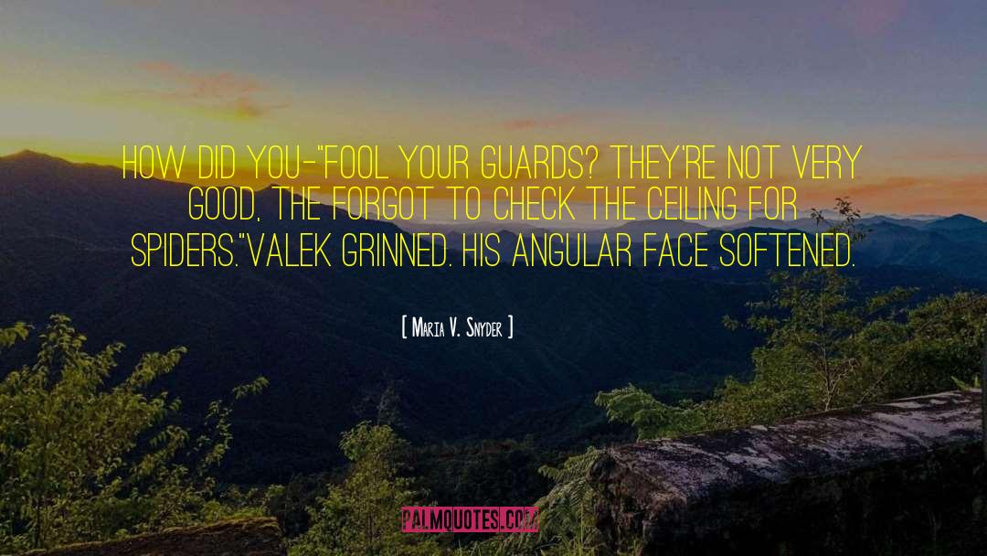 Valek quotes by Maria V. Snyder