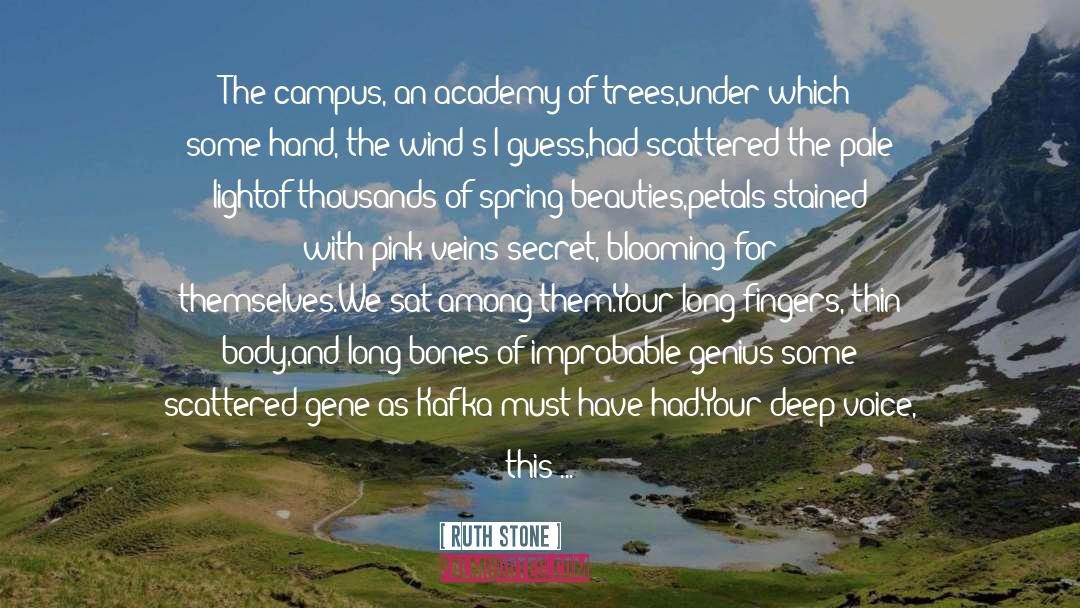 Valencian Spring quotes by Ruth Stone