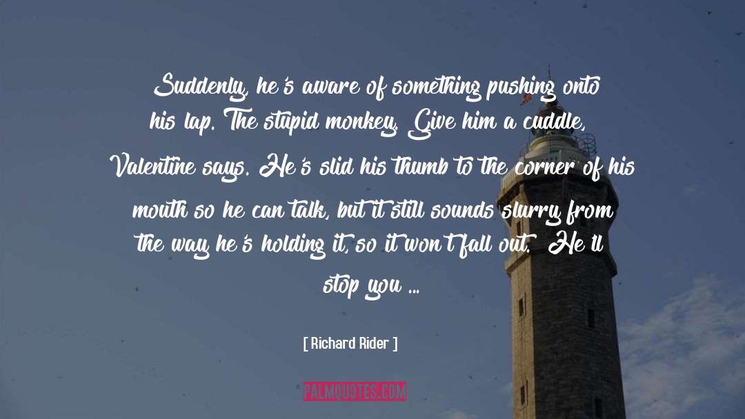 Valentine Snack quotes by Richard Rider