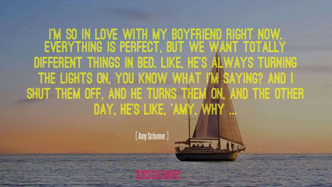 Valentines Day To My Boyfriend quotes by Amy Schumer