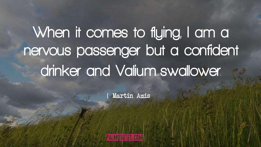 Valium quotes by Martin Amis