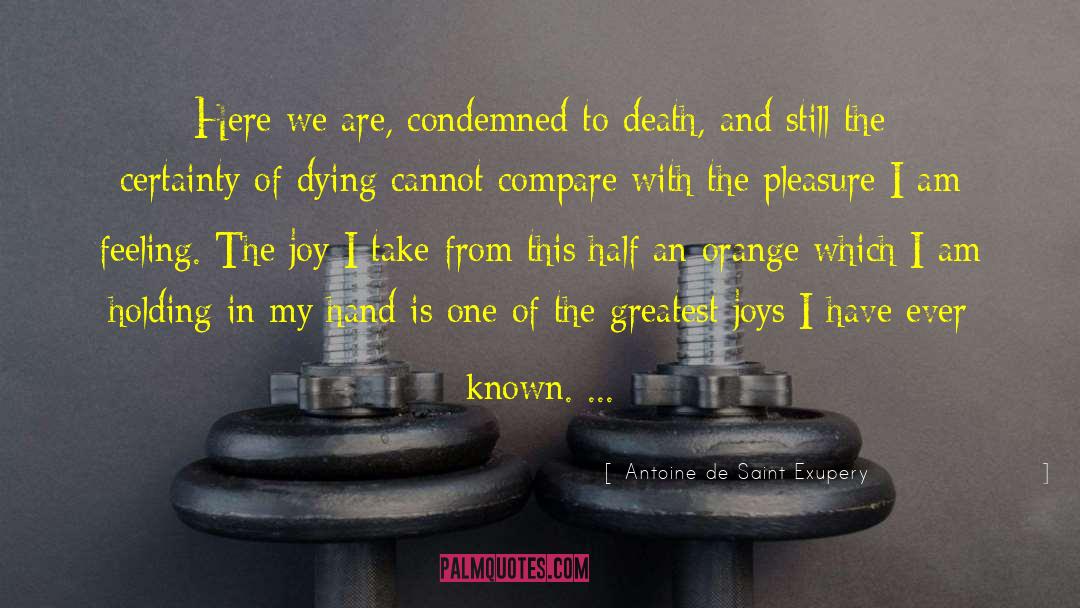 Valley Of Death quotes by Antoine De Saint Exupery