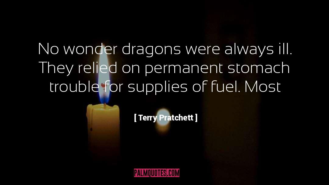 Valley Of Trouble quotes by Terry Pratchett