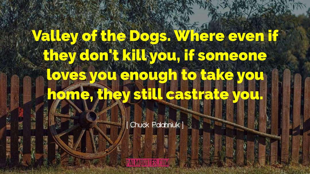 Valley Vet quotes by Chuck Palahniuk