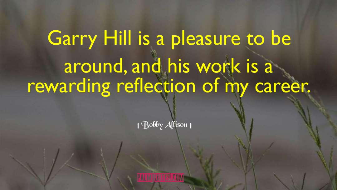 Valleys And Hills quotes by Bobby Allison