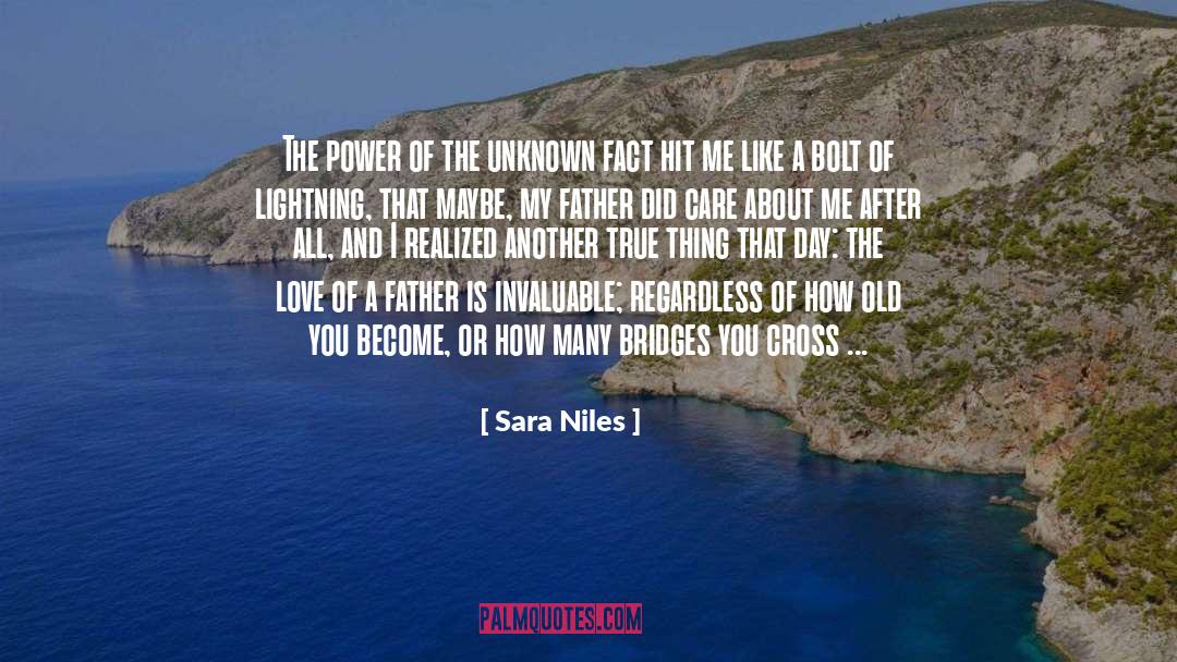 Valuable And Invaluable Thing quotes by Sara Niles