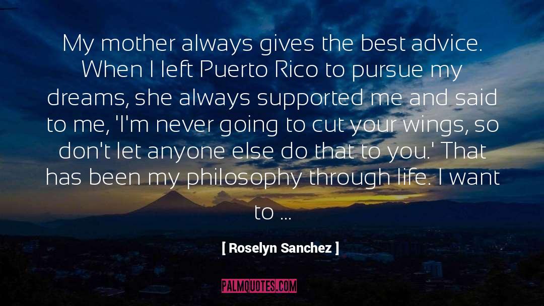 Valuable Lesson quotes by Roselyn Sanchez