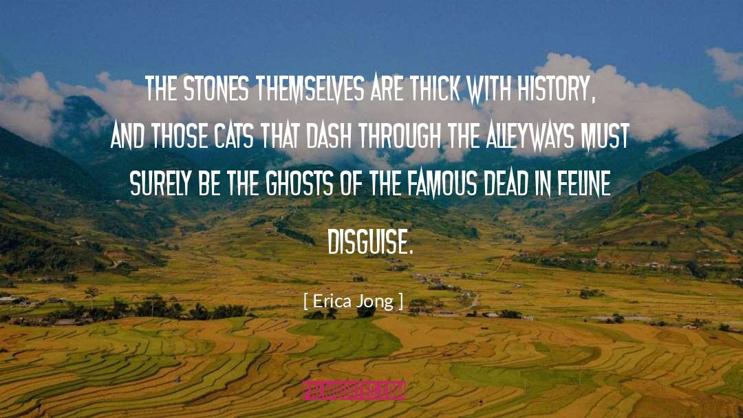 Valuable Stones quotes by Erica Jong