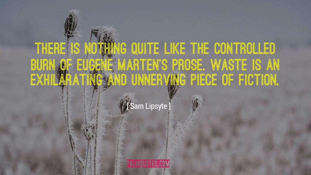 Value Of Fiction quotes by Sam Lipsyte