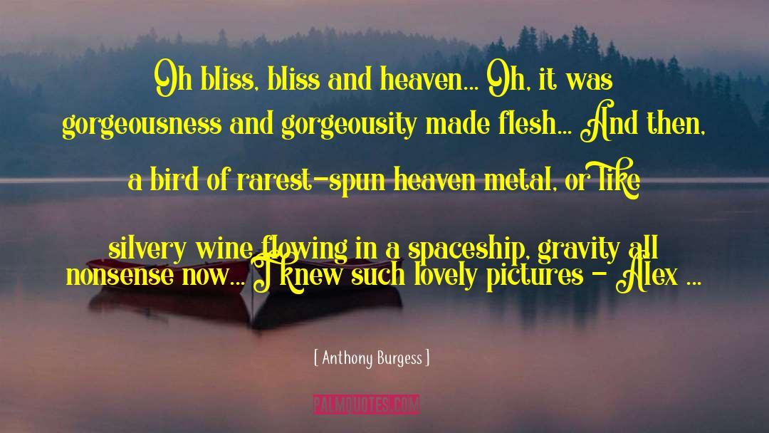 Value Of Pictures quotes by Anthony Burgess