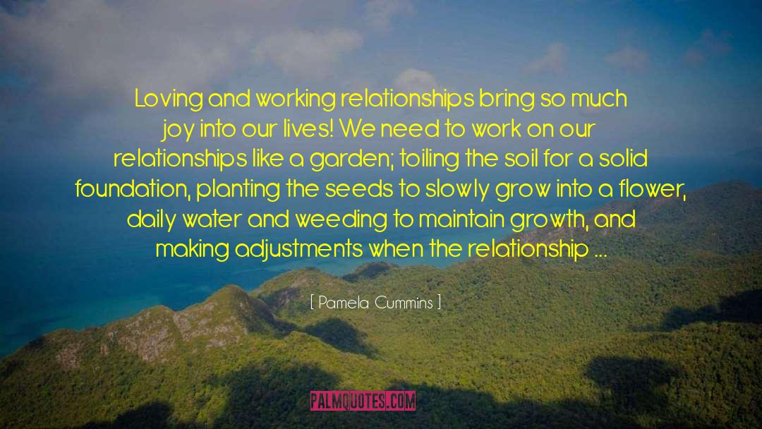 Value Of Relationship quotes by Pamela Cummins