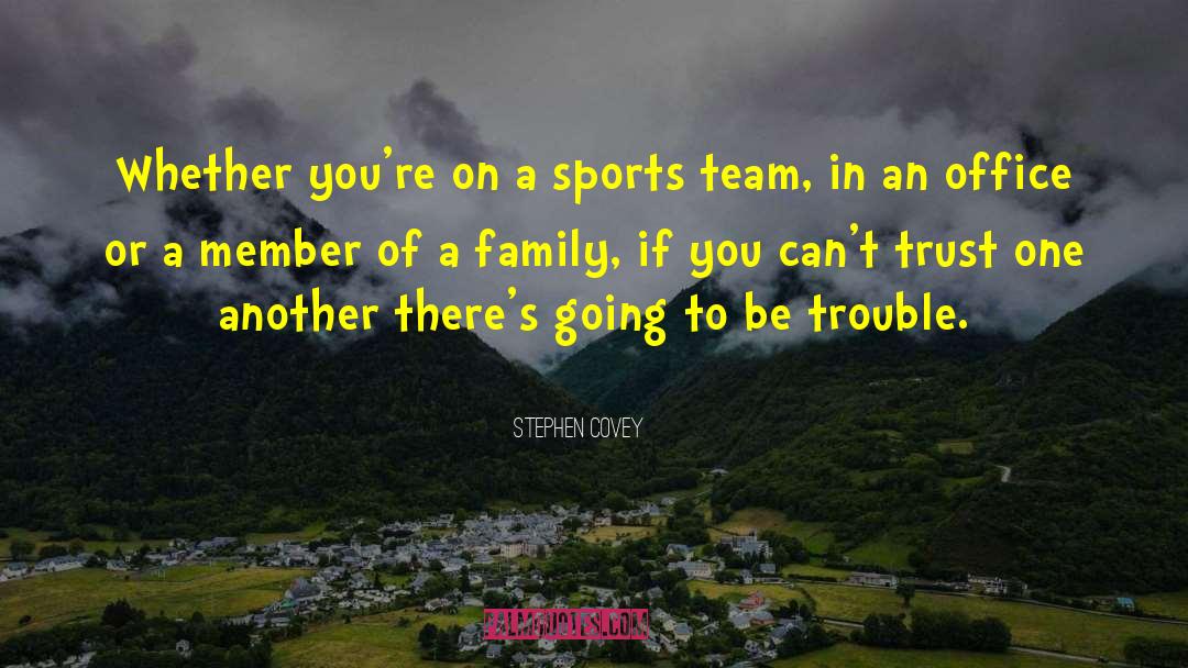 Value Of Team Sports quotes by Stephen Covey