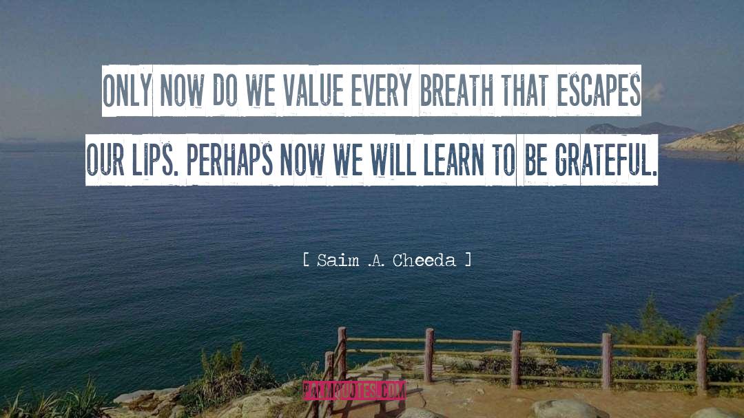 Value quotes by Saim .A. Cheeda