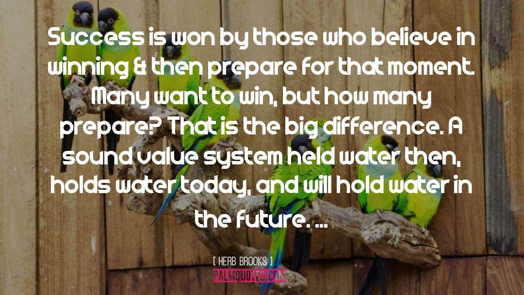 Value System quotes by Herb Brooks