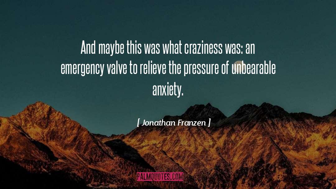 Valve quotes by Jonathan Franzen