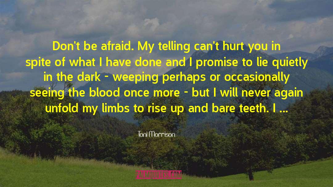 Vampire Academy Blood Promise quotes by Toni Morrison