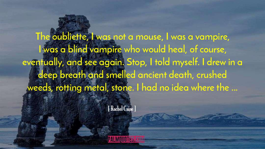 Vampire Acamdey quotes by Rachel Caine