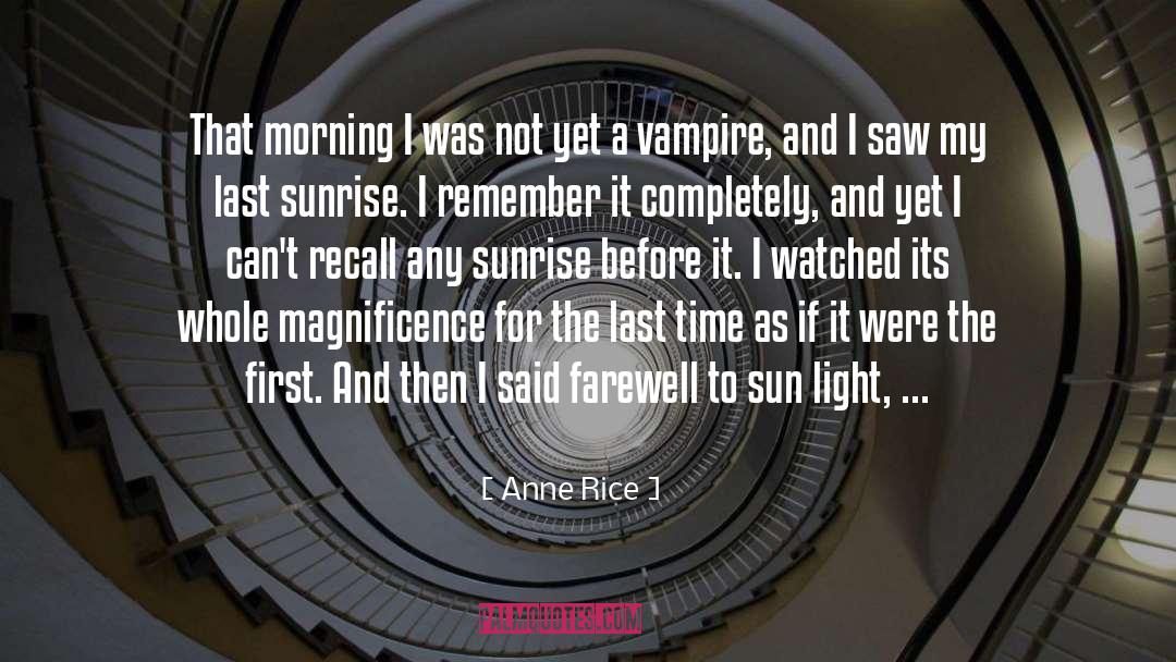 Vampire Hunter quotes by Anne Rice