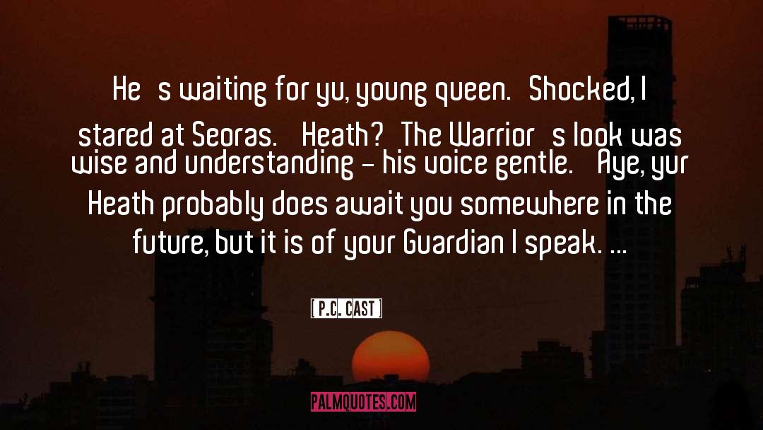 Vampire Queen Series quotes by P.C. Cast