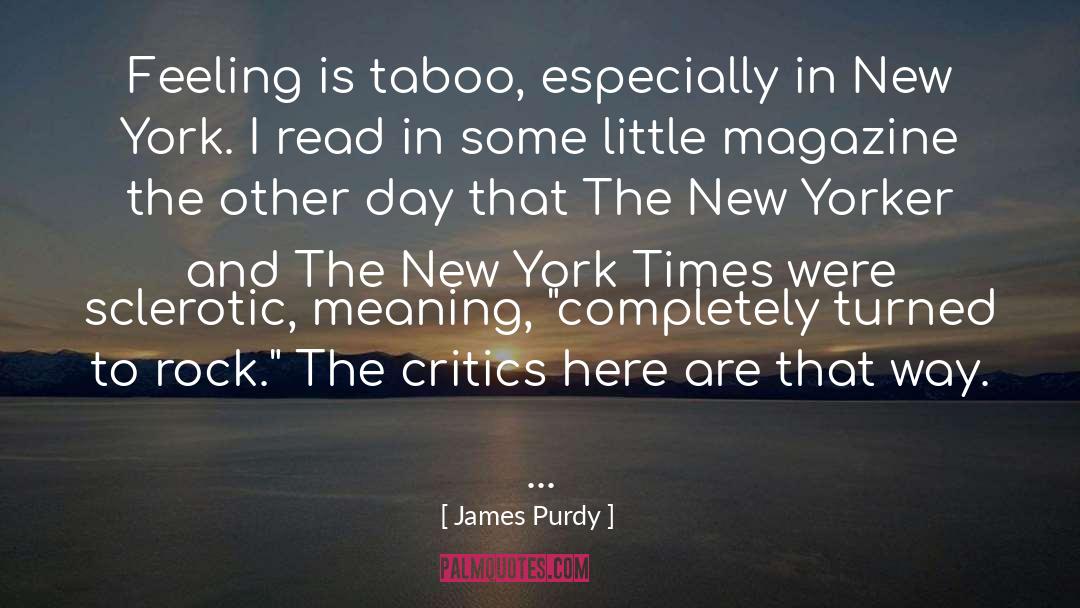 Van Duzer New York quotes by James Purdy