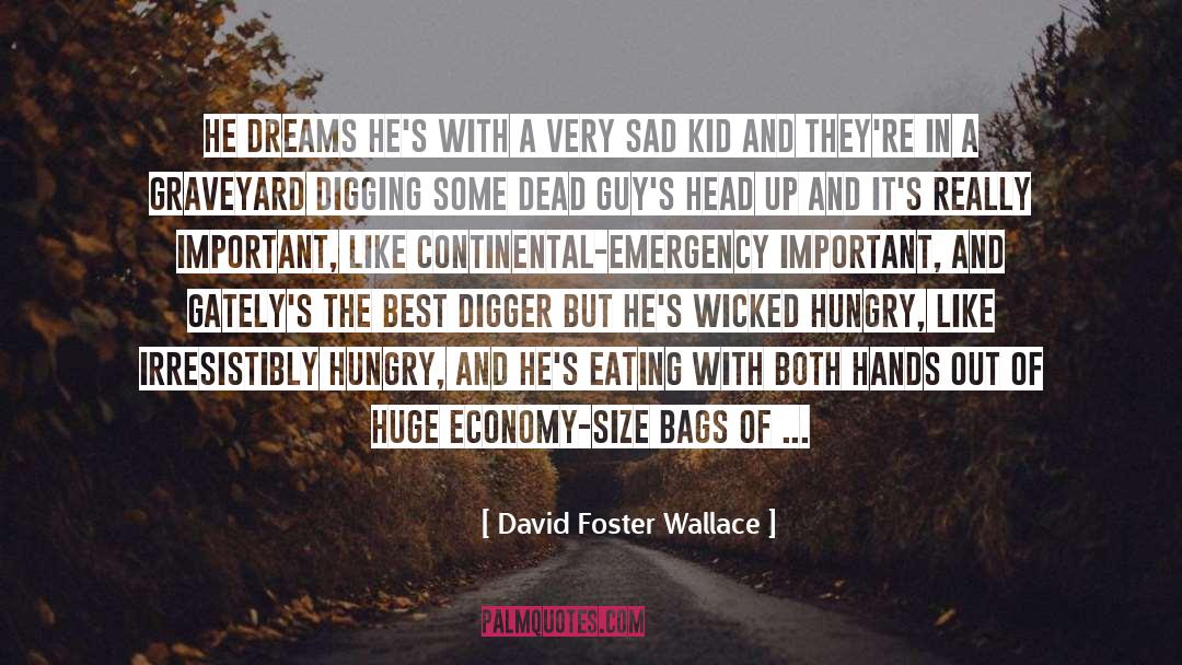 Van Vonderen Sint quotes by David Foster Wallace