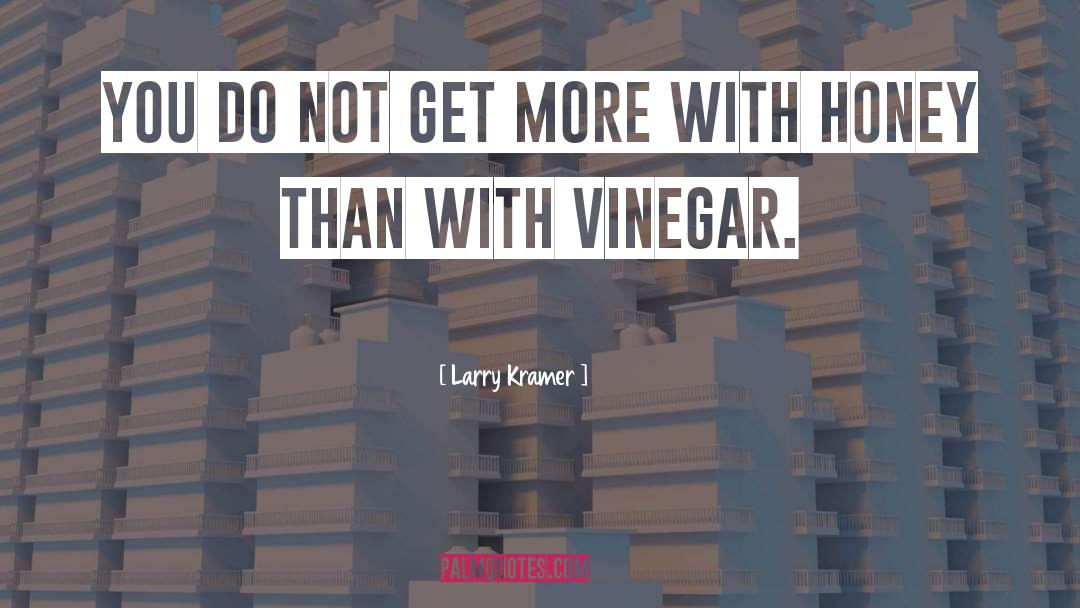 Vandelli Balsamic Vinegar quotes by Larry Kramer
