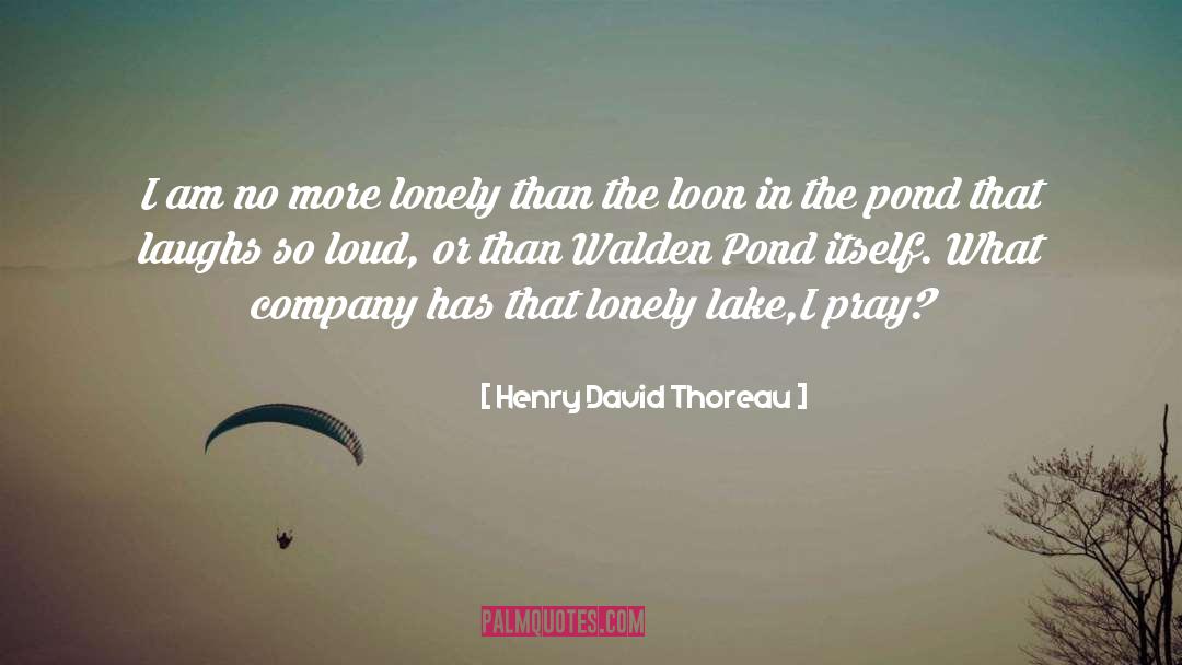 Vandercook Lake quotes by Henry David Thoreau