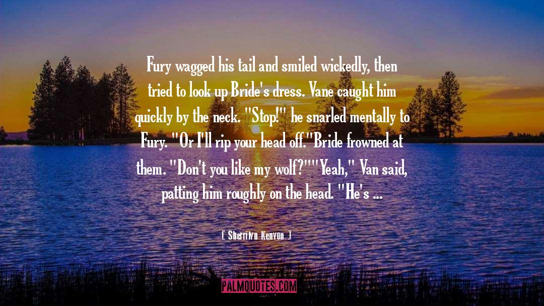 Vane And Audra quotes by Sherrilyn Kenyon