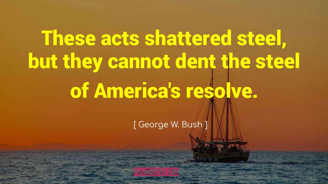 Vanex Steel quotes by George W. Bush
