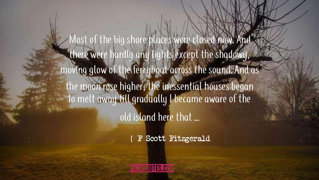 Vanished quotes by F Scott Fitzgerald