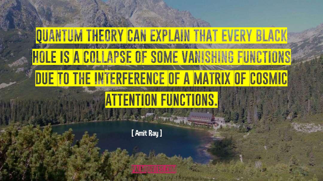 Vanishing Functions quotes by Amit Ray