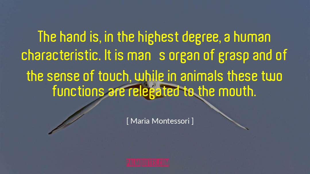 Vanishing Functions quotes by Maria Montessori