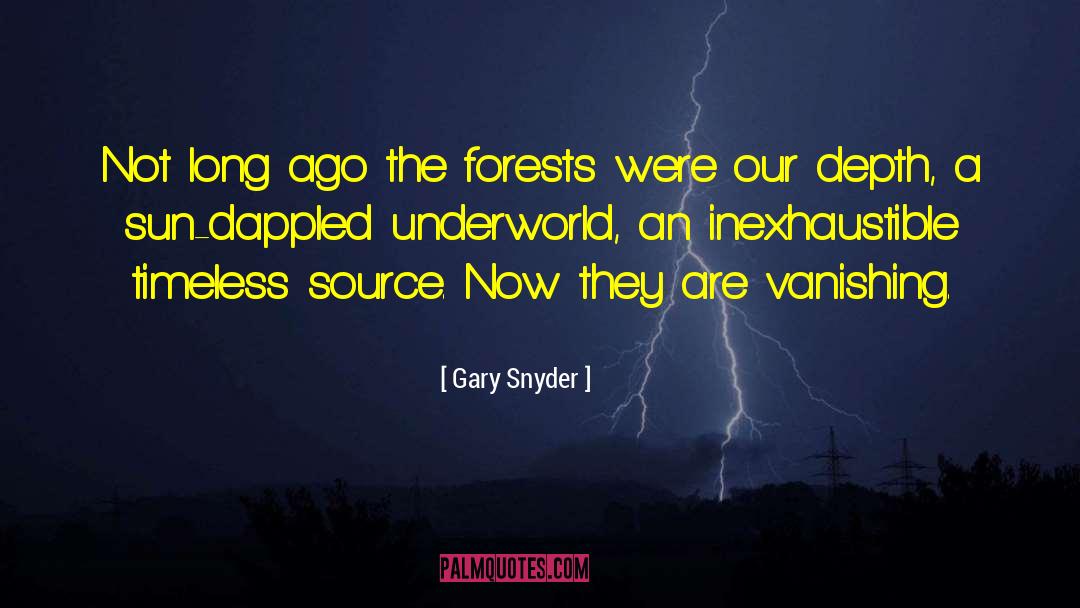 Vanishing Movie quotes by Gary Snyder