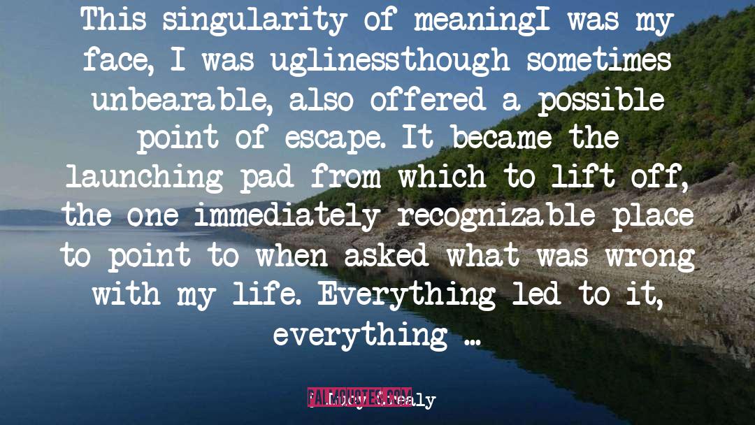 Vanishing quotes by Lucy Grealy