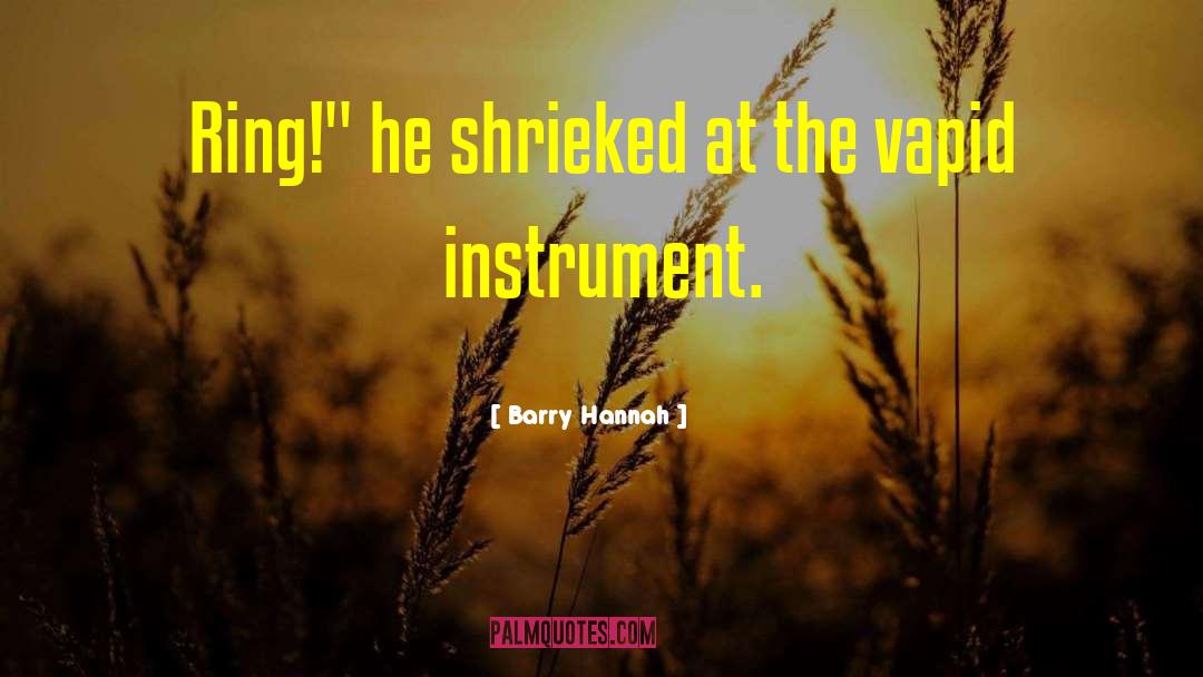 Vapid quotes by Barry Hannah