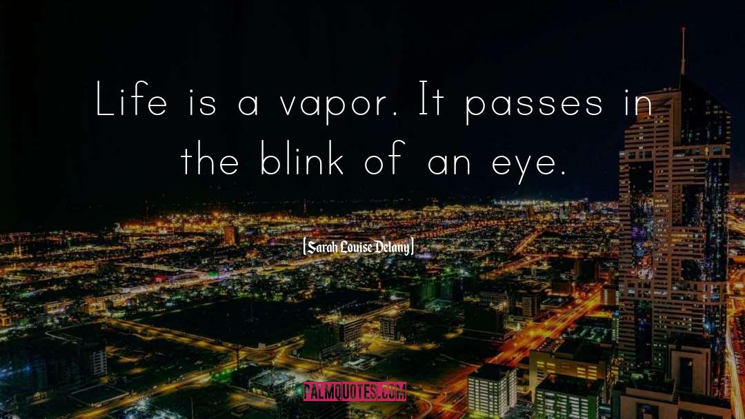 Vapor Barrier Quote quotes by Sarah Louise Delany