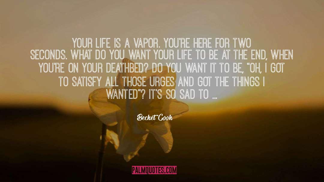 Vapor quotes by Becket Cook