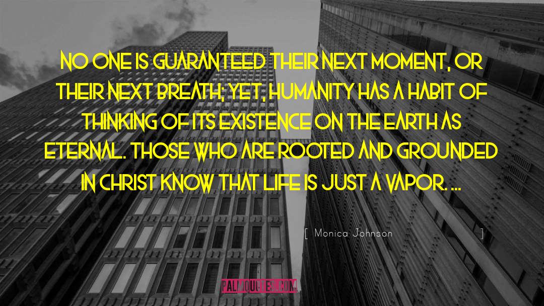 Vapor quotes by Monica Johnson