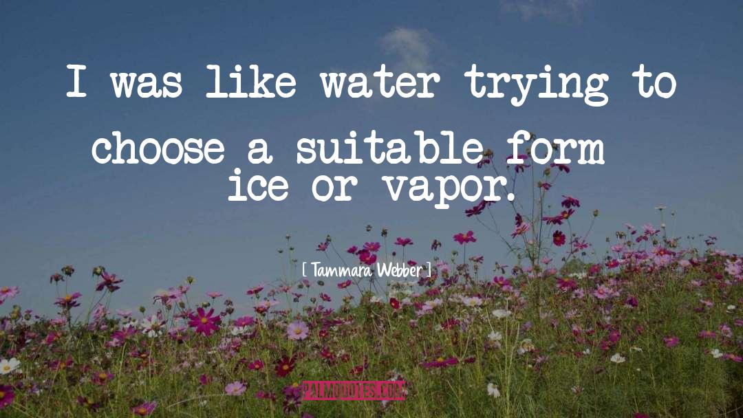 Vapor quotes by Tammara Webber