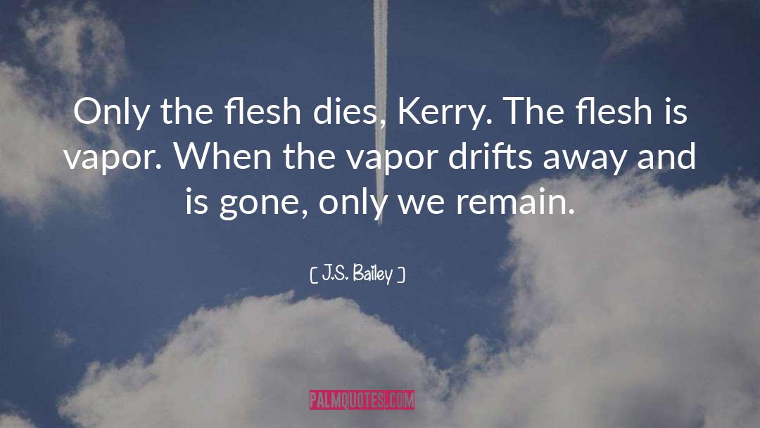 Vapor quotes by J.S. Bailey