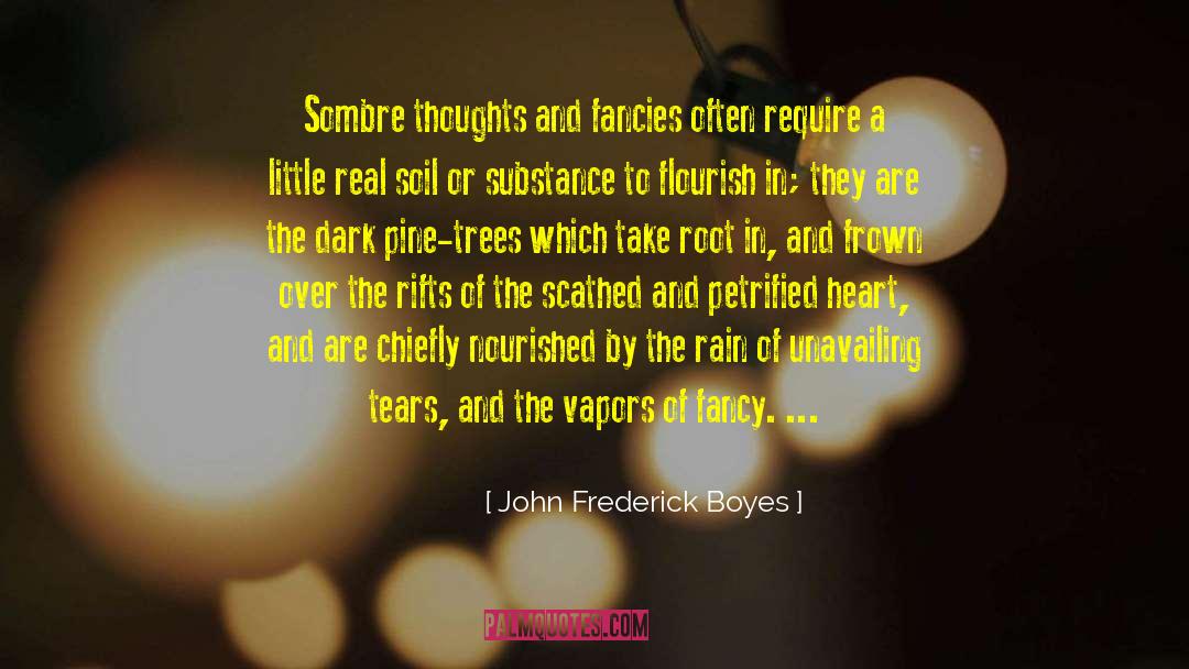 Vapors quotes by John Frederick Boyes