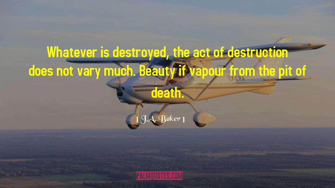 Vapour quotes by J.A. Baker