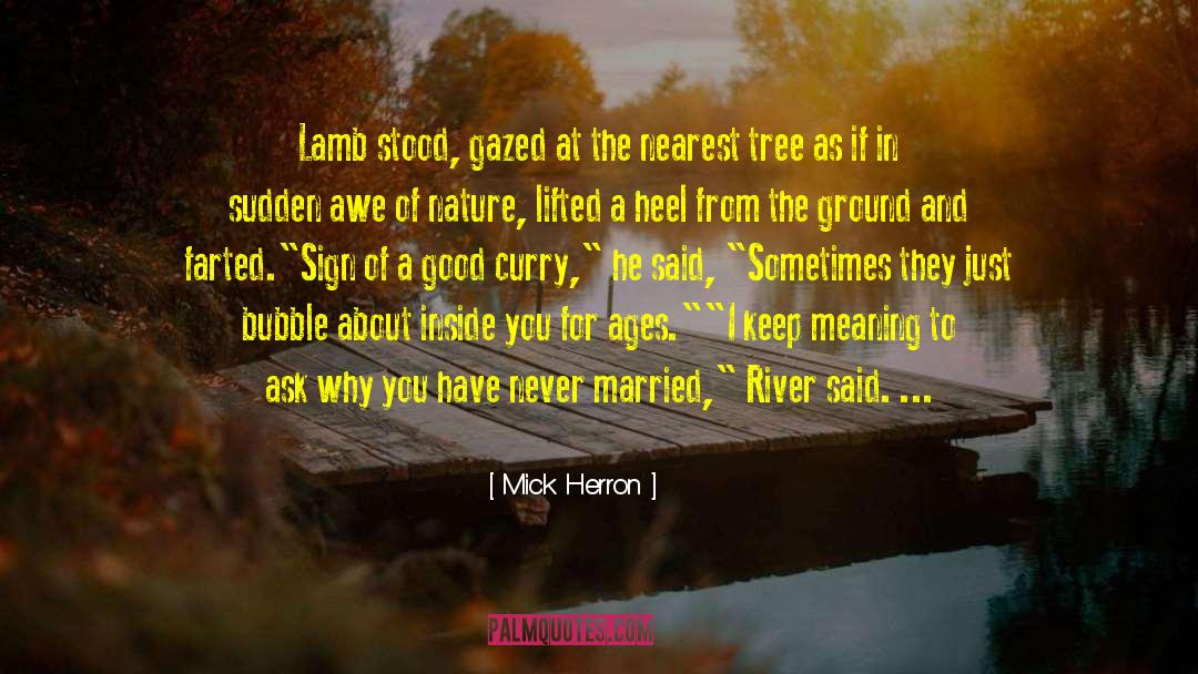 Varun River quotes by Mick Herron